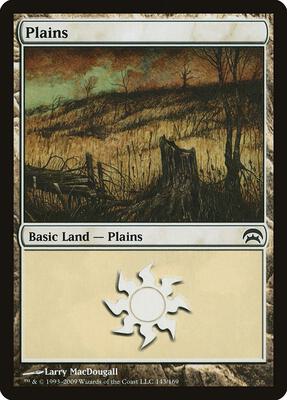 Plains (143) card from Planechase