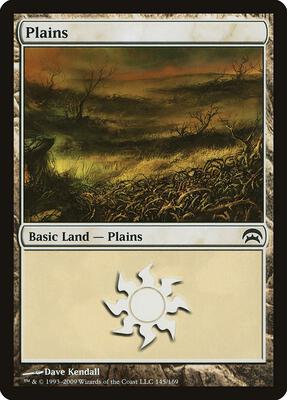 Plains (145) card from Planechase