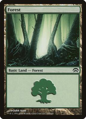 Forest (165) card from Planechase