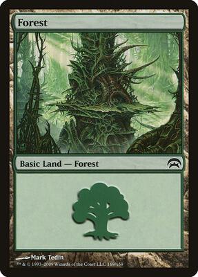 Forest (169) card from Planechase