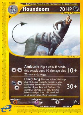 Houndoom (12) card from Skyridge