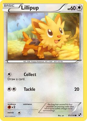 Lillipup (81) card from Black and White