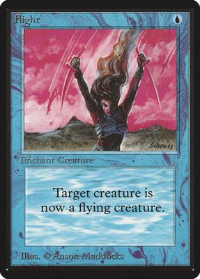 Flight card from Beta Edition