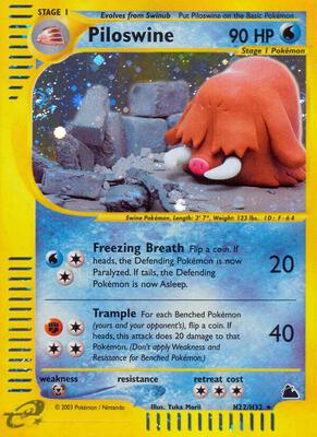 Piloswine (H22) card from Skyridge