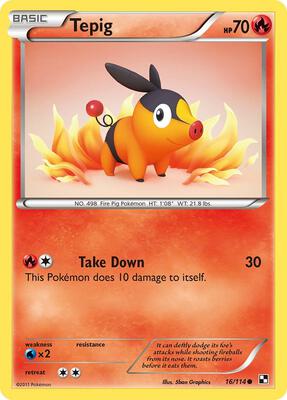 Tepig (16) card from Black and White