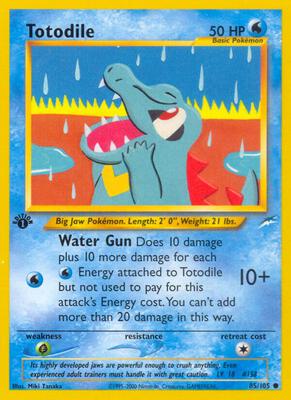 Totodile card from Neo Destiny