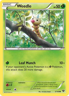 Weedle card from XY Base Set