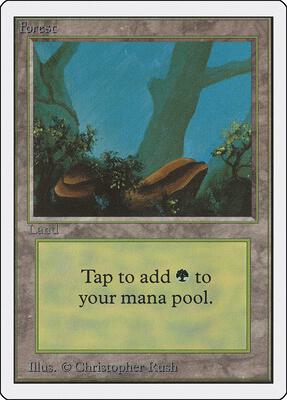 Forest (A) card from Unlimited Edition