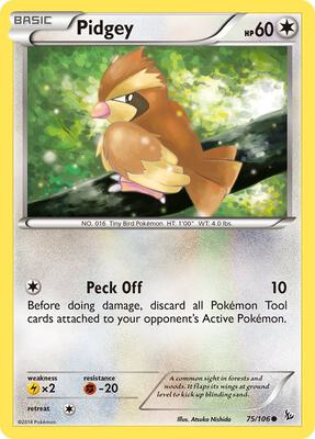 Pidgey card from XY - Flashfire