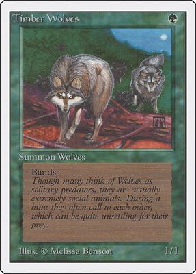Timber Wolves card from Unlimited Edition