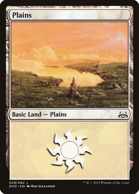 Plains (029) card from Duel Decks: Anthology