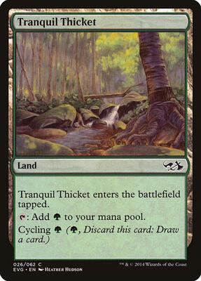 Tranquil Thicket card from Duel Decks: Anthology