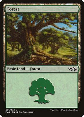 Forest (031) (EVG) card from Duel Decks: Anthology