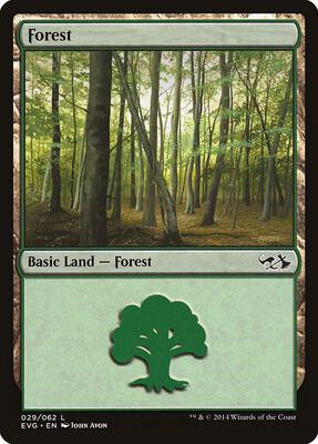 Forest (029) (EVG) card from Duel Decks: Anthology