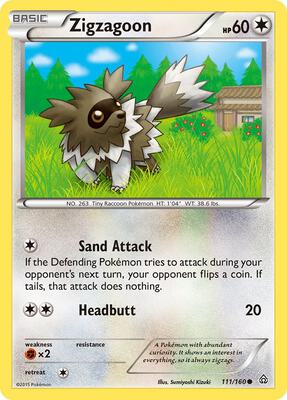 Zigzagoon card from XY - Primal Clash