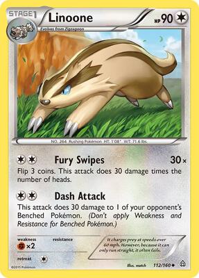 Linoone card from XY - Primal Clash