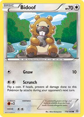 Bidoof card from XY - Primal Clash