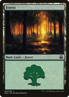 Forest (064) card from Duel Decks: Elspeth vs. Kiora