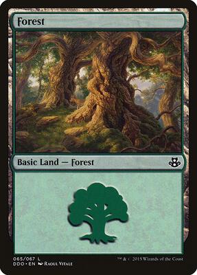 Forest (065) card from Duel Decks: Elspeth vs. Kiora