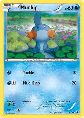 Mudkip - XY38 card from XY Promos