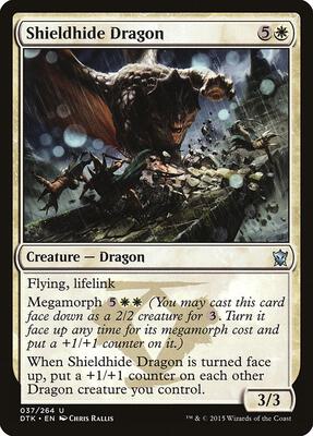 Shieldhide Dragon card from Dragons of Tarkir