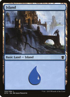 Island (255) card from Dragons of Tarkir