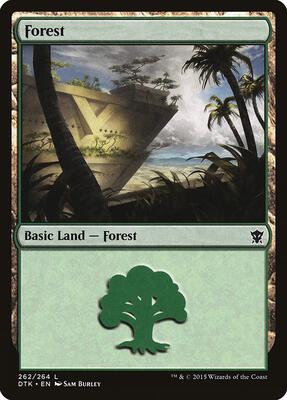 Forest (262) card from Dragons of Tarkir