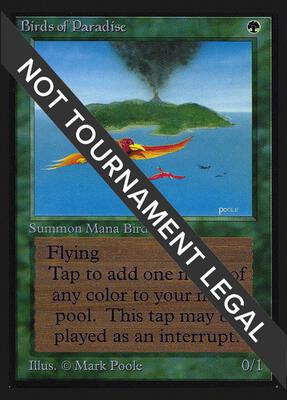 Birds of Paradise (IE) card from International Edition