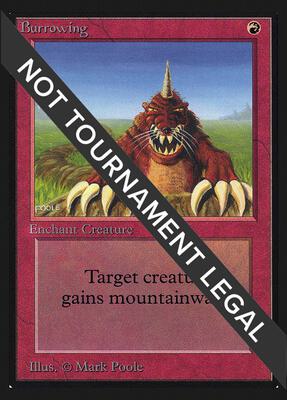 Burrowing (IE) card from International Edition