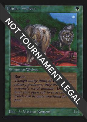 Timber Wolves (IE) card from International Edition