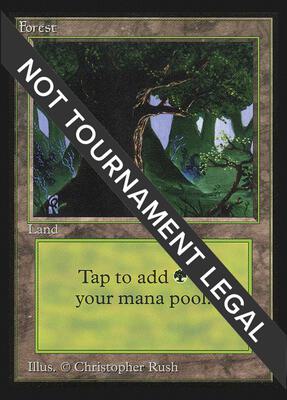 Forest (C) (IE) card from International Edition