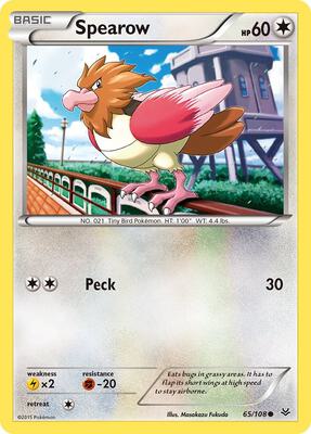 Spearow card from XY - Roaring Skies