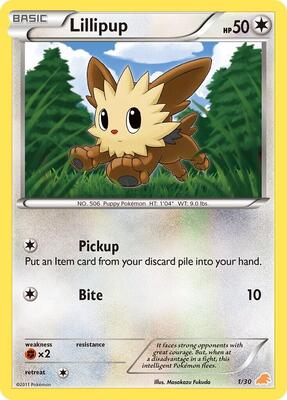 Lillipup (#1) card from BW Trainer Kit: Excadrill & Zoroark