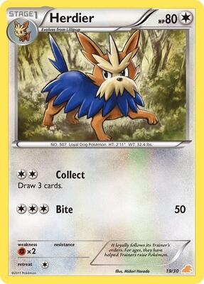 Herdier card from BW Trainer Kit: Excadrill & Zoroark