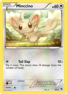 Minccino (#19) card from BW Trainer Kit: Excadrill & Zoroark