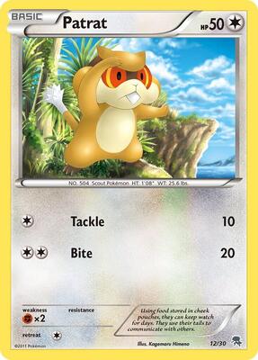 Patrat (#12) card from BW Trainer Kit: Excadrill & Zoroark